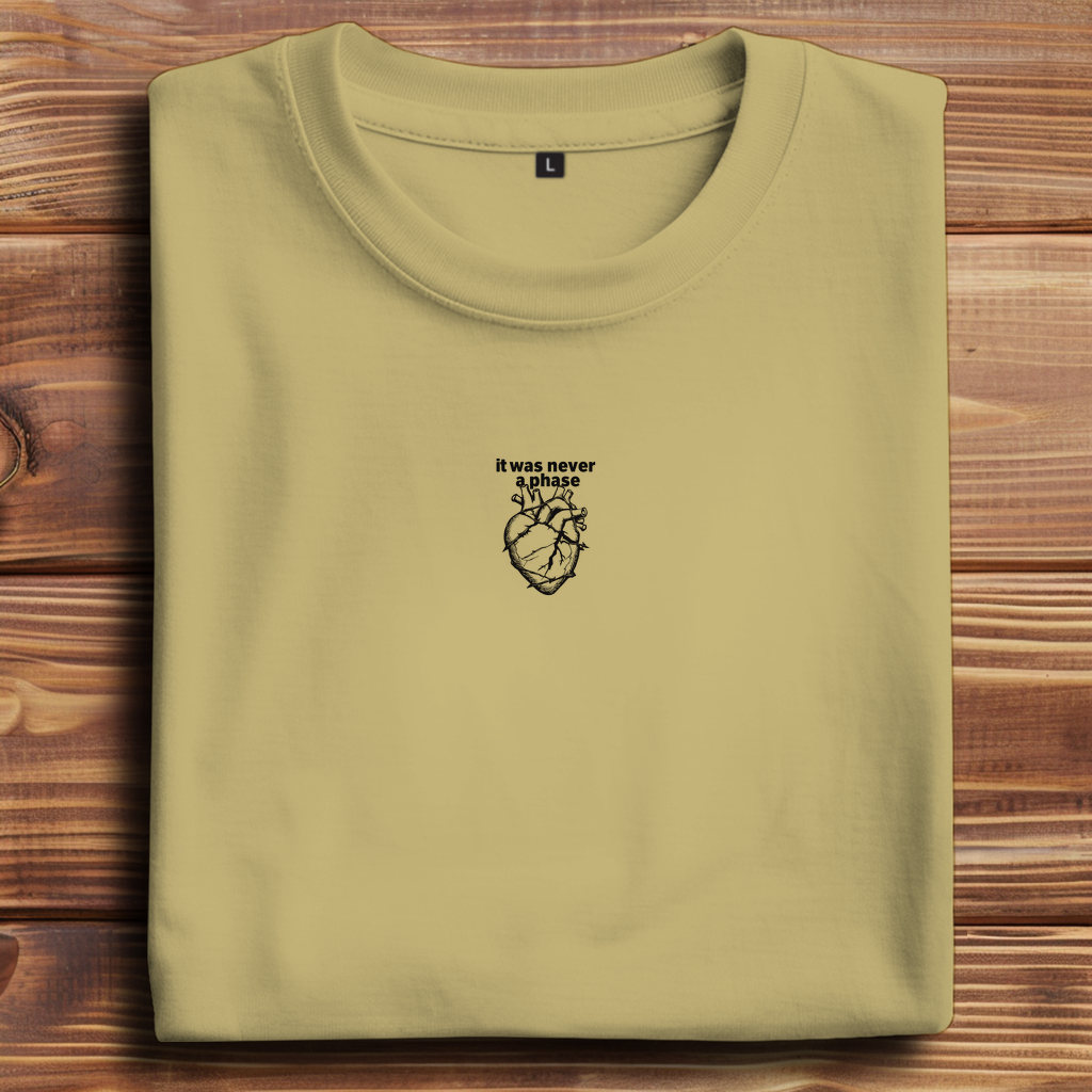Oversize T-Shirt It Was Never A Phase 3